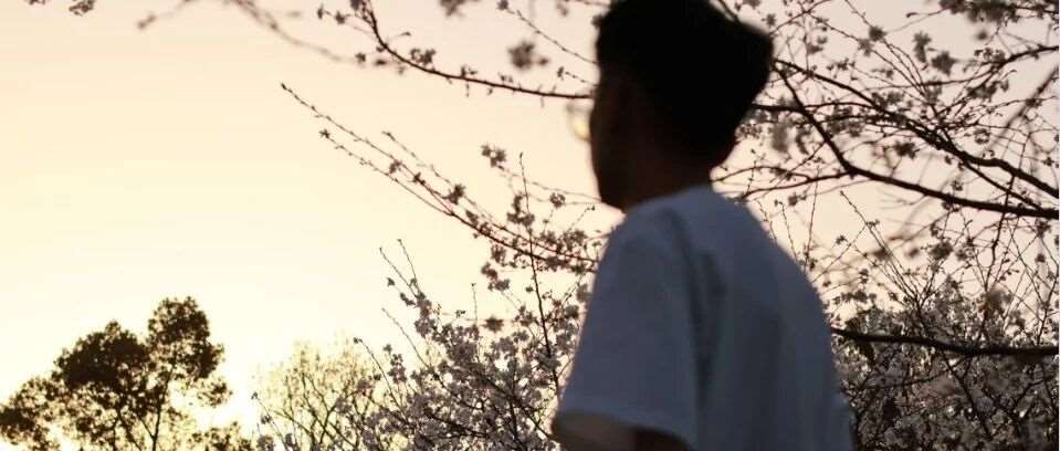 看完我的经历，就业升学咋选你就懂啦