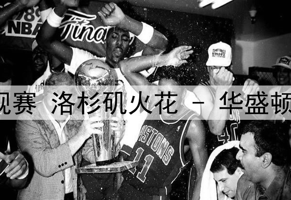 07月23日WNBA常规赛 洛杉矶火花 - 华盛顿神秘人 全场录像