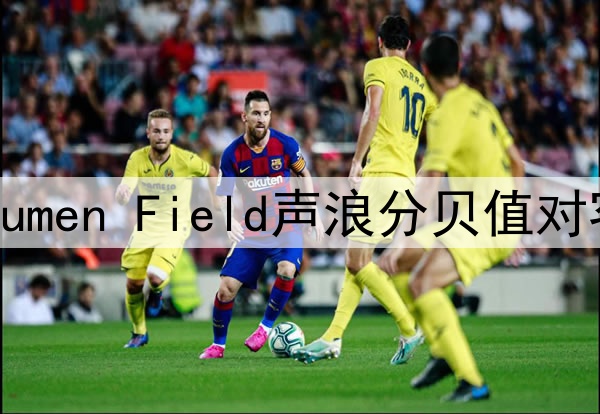 1472. 2026世界杯Lumen Field声浪分贝值对客队发界外球的影响